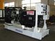 25kva - Dieselgenerator 1000kva Perkins mit schwanzlosem Wechselstrom-Generator