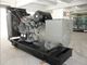 Tiefsee- Fernsteuerungs-Perkins-Dieselgenerator mit Maschine 2206C-E13TAG3