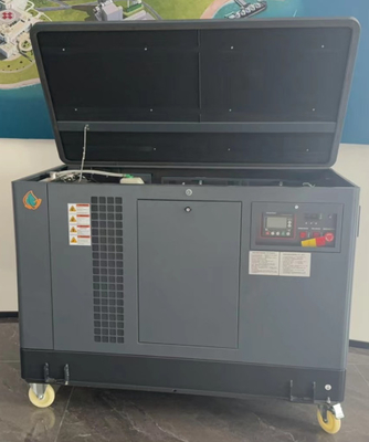 10kw 15kw 20kw EPA-zertifizierter LPG-Gasgenerator mit 120V/220V elektrischem Autostart