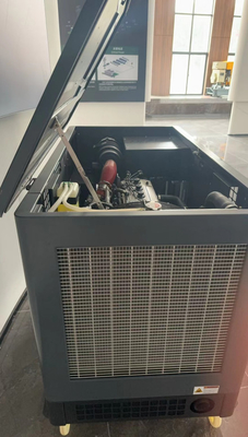 Außengebrauch EPA-Zertifikat 15kw 17kw 20kw 22kw Propan-Gasgenerator mit leisen Gehäuse