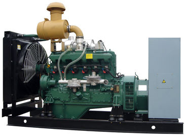 70kw - Pole-Generator-Holzgas-Generator des Erdgas-700kw des Generator-4